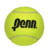 Penn 4 Inch Mini Jumbo Tennis Ball -Racquetguys 581022 4 in penn ball