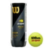 Wilson US Open Extra Duty Tennis Balls -Racquetguys US Open Official Extra Duty 3ball Can Front LOGO 5135b62b bfd1 4074 9182 f51b33156923