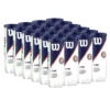 Wilson Roland Garros All Court Tennis Balls - 24 Can Case -Racquetguys WILSON ALLCOURT WRT129100