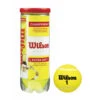 Wilson Championship Extra Duty Tennis Balls -Racquetguys WILSONChampionshipBalls