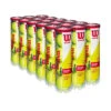 Wilson Championship Extra Duty Tennis Balls (18 Can Case)